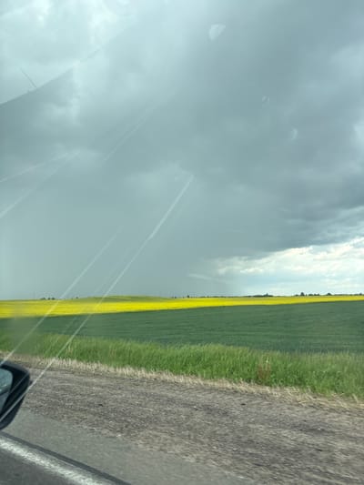 The image shows a view from inside a vehicle, possibly a car, of a rural landscape. The right side of the frame shows a field of green crops with some yellow flowers, likely rapeseed or canola, alongside a road with a white line marking the edge. The road surface appears asphalted and slightly coarse.
The left side of the image is dominated by a cloudy sky, indicating potentially inclement weather. There are reflections visible on the glass, suggesting the image was taken through a windshield. A small portion of a side mirror is visible in the bottom right corner.
The location is Голацкі сельскі Савет, Belarus, but specific details to pinpoint a particular part of the area are not available in this image. The scene does depict the countryside within this region with the combination of agriculture and road infrastructure. There are no people visible in the image.