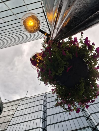 This low-angle shot captures a streetlamp adorned with a hanging basket of vibrant pink and purple flowers. The lamp post, dark and textured, reflects the warm glow of the illuminated bulb within a clear glass housing. Behind the lamp, two imposing modern buildings with reflective, glass-paneled facades rise dramatically towards a cloudy sky. The architecture suggests an urban setting, and the cloudy conditions hint at either an overcast day or the onset of evening. The image evokes a sense of urban beauty, with nature's touch in the flowers contrasting against the geometric lines of the city. The light from the lamp suggests it might be dusk or that the lamp is on during the day due to the weather. There is no visible text in the image.