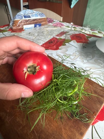 A hand is holding a ripe red tomato over a pile of fresh dill on a wooden cutting board. The cutting board rests on a tablecloth with a floral pattern featuring red roses. In the background, a loaf of bread in plastic packaging is visible on the table, along with other kitchen items and cabinetry. The scene appears to be in a domestic setting, likely a kitchen, in Красное, Russia.