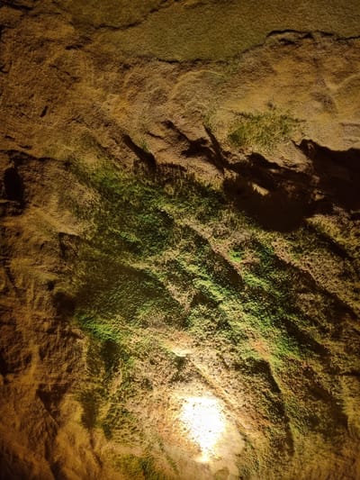 A close-up shot showcases a textured, uneven surface illuminated by a light source in the upper right corner. The material is primarily a mix of brown and tan hues, with patches of green moss or lichen interspersed throughout. The rugged texture suggests a rock or stone wall. The lighting creates strong shadows and highlights, emphasizing the surface's irregularities. The location is likely within the Schlossberg Caves in Homburg, Germany, known for their sandstone formations and moss-covered surfaces. No people or interactions are visible in the frame.