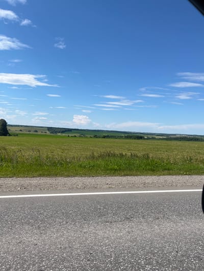 An eye-level, full outdoor shot captures a view of a rural landscape in Yaroslavka, Russia, on a clear, sunny day. The foreground is dominated by a grey asphalt road with a white line marking its edge, and a strip of rough gravel and green grass. Beyond this, a vast, rolling green field stretches into the distance, dotted with trees and patches of darker green vegetation. The field appears to be agricultural land. The horizon is marked by a line of trees and low hills, with a clear blue sky filled with scattered white clouds overhead. The overall impression is one of a peaceful, open countryside. There are no people or animals visible in the image.