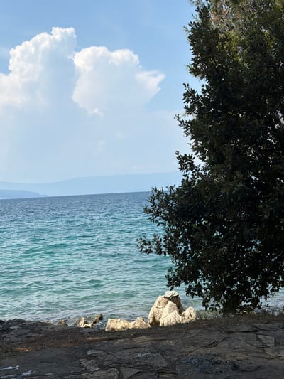 An outdoor, eye-level shot captures a scenic view of the Adriatic Sea on a sunny day. The foreground is a rugged, stony embankment, with larger, flat stones forming a textured path leading towards the water. To the right, the dark green foliage of a large tree partially obscures the sky. The middle ground features the clear, turquoise water of the sea, with gentle ripples on its surface. Several large, light-colored rocks are visible along the shoreline, some partially submerged in the water. In the distance, faint, hazy blue mountains form the horizon line. The sky above is a pale blue, punctuated by large, fluffy white clouds, particularly in the upper left quadrant. The scene evokes a peaceful, natural coastal environment. The location is identified as Malinska, Croatia. No people or animals are present in the image.