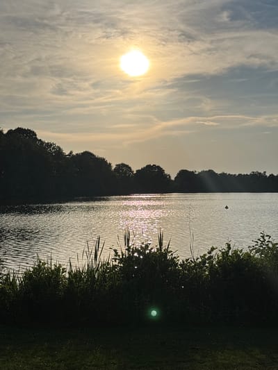 The image depicts a tranquil lake scene at dusk, likely in Grafenrheinfeld, Germany. The sun, a bright orb, is positioned in the upper portion of the sky, casting a warm, hazy glow and creating shimmering reflections on the water's surface. The lake is surrounded by a dense line of dark, silhouetted trees, suggesting a natural, wooded landscape. In the foreground, tall reeds and other lush green vegetation grow along the shoreline, their shadows cast across a patch of dark grass. A small, dark, round marker floats in the middle of the lake. The sky above is a mix of wispy clouds, reflecting the soft light of the setting sun. The overall atmosphere is peaceful and serene, capturing the quiet beauty of nature.