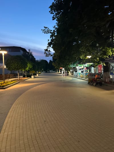 The image depicts an evening scene on a pedestrian street in Dzhebel, Bulgaria. The sky transitions from a deep blue overhead to a lighter blue with subtle pink and purple hues near the horizon, indicating dusk or early night.
The foreground is dominated by a wide, light-brown paved walkway composed of rectangular bricks laid in a curved pattern, directing the eye along the street. On the left, several modern streetlights with warm yellow illumination are spaced along the pathway. Beneath these lights are raised planters containing bright yellow flowers and a series of meticulously trimmed, spherical trees, casting distinct shadows on the pavement. Further back on the left, an outdoor seating area with tables, chairs, and white umbrellas is visible next to a building.
On the right side of the street, a continuous line of large, leafy trees forms a dark canopy, their foliage partially illuminated by the ambient and artificial light. Beneath these trees are various commercial establishments, characterized by vibrant green awnings, illuminated interiors, and signs displaying Cyrillic text, including "ЛИДЕРЪТ" (LIDERUT). A small red toy ride-on vehicle is parked on the pavement in front of one of these shops. Two individuals, appearing to be young adults or children, are walking away from the camera on the right side of the paved area, moving further down the street.
In the mid-ground and background, the street continues to curve slightly to the right, lined with more buildings, streetlights, and additional shops. A white van is discernible parked on the right side of the street in the distance. The overall lighting is a mix of dim natural twilight and the prominent warm glow from streetlights and shop illuminations, creating a tranquil yet active evening atmosphere.