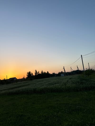 The image depicts a rural landscape at dusk, likely in the village of Dovhe, Ukraine. The sky transitions from a clear, pale blue at the top to a warm orange hue near the horizon, indicating sunset. In the distance, silhouetted trees and the roofs of houses are visible. A field covered in white flowers extends across the middle ground, with power lines and poles running through the scene. The foreground is a dark green grassy area. The overall impression is one of a peaceful evening in the countryside.