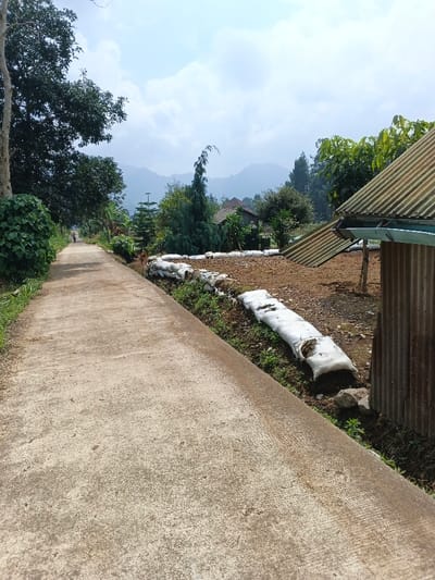The image captures a rural or semi-rural landscape, likely a village or countryside area. A concrete path, slightly lighter in color due to wear or dust, extends from the foreground into the distance on the left side of the frame. Lush green foliage and large trees line the left side of the path, casting some shade.

On the right side of the path, there is a lower-lying area with green weeds and small plants, followed by what appears to be cultivated brown earth or a field. Several white sacks, possibly filled with soil or sand, are laid out along the edge of this field, potentially serving as erosion control or a boundary. Further to the right, a portion of a building with a corrugated metal roof is visible, suggesting a simple dwelling or agricultural structure.

In the mid-ground, a small, indistinct figure of a person appears to be walking away on the concrete path. Beyond the immediate surroundings, a dense mix of green trees and smaller houses can be seen. In the far background, majestic mountains rise, their outlines softened by atmospheric haze under a bright sky with scattered white clouds. The overall impression is one of peaceful, daytime rural life. No visible text is present in the image.