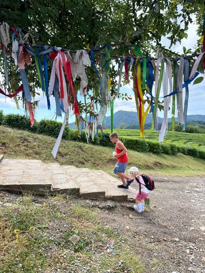 The media file depicts two children on a stone staircase outdoors, with a backdrop of lush green tea fields and distant mountains. The scene is oriented vertically, with the children and staircase running down the right side of the frame, and the trees adorned with colorful ribbons in the foreground on the left.

The subjects are two children. The child in the foreground is a boy wearing a red tank top and blue shorts, with a water bottle in his hand. He is facing away from the camera and appears to be looking down the stairs. Behind him, a younger child, likely a girl, is wearing a pink shirt, a pink and white patterned skirt, and a white hat. She has a backpack on and is also looking down the stairs, possibly following the boy.

The setting is a natural landscape in Izmaylovka, Russia. The immediate area features a stone staircase and dry, gravelly ground interspersed with patches of dry grass. To the left, a tree is decorated with numerous colorful ribbons tied to its branches. The background reveals extensive, neat rows of green tea bushes on a hillside, leading up to hazy mountains under a bright, overcast sky.

The activity seems to be children walking down a staircase, perhaps exploring the area or on an outing. The weather appears to be mild and possibly sunny, given the brightness of the scene, though the overcast sky suggests diffused light. The overall mood is one of casual outdoor exploration.

There is visible text on the shorts of the boy in the foreground, appearing to be "67".