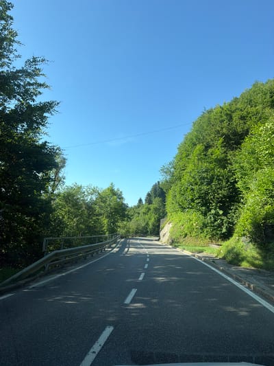 The image depicts a two-lane asphalt road curving to the left, bordered by a metal guardrail on the left and a steep, tree-covered embankment on the right. The road is marked with white dashed lines. The sky is clear and blue. Lush green trees and foliage cover the surrounding hillsides. Shadows from the trees are cast across the road surface. The scene appears to be a scenic route through a wooded area, likely a mountain road. There are no people or vehicles visible in the image, nor any specific architectural elements that would definitively place it in Bregenz, Austria. The road infrastructure, such as the guardrail and markings, are common in many European countries.