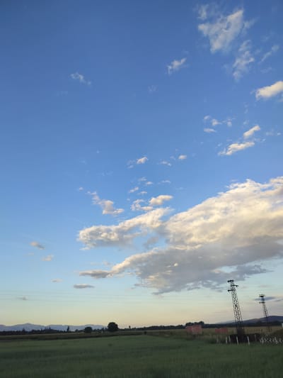 The image shows a wide, rural landscape under a bright blue sky with scattered white clouds. In the foreground, a green field extends across the bottom half of the frame. In the mid-ground, a line of trees and some low buildings are visible, along with two tall electricity pylons supporting power lines that stretch horizontally across the scene. In the distance, a range of mountains forms the horizon line. The overall impression is one of a peaceful, open, and natural environment.