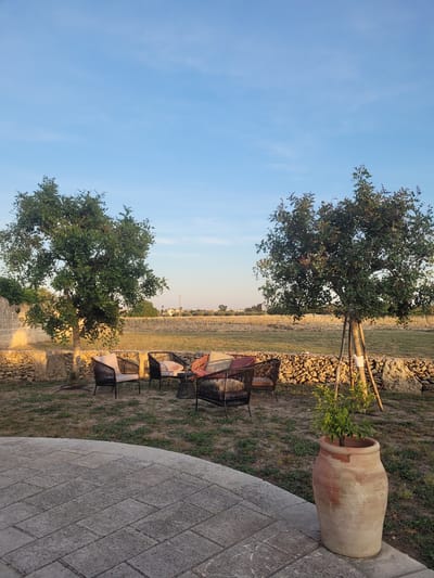 The image depicts a serene outdoor scene in Sogliano Cavour, Italy, viewed in what appears to be late afternoon or early evening. The original image is rotated 90 degrees clockwise, showing the sky on the left and the ground/patio on the right.

The foreground features a paved area made of light-colored, rectangular stone pavers, forming a gentle curve. To the right of this paving, a large, rustic terracotta pot, appearing ancient or traditional, holds a small, leafy green plant, possibly a citrus tree.

Beyond the paved area, the ground is covered with dry grass and earth. Along this ground, a row of several empty outdoor chairs, likely made of dark wicker or metal with light-colored cushions, are neatly arranged. They face towards the left side of the frame in the corrected orientation.

Further back, a low dry-stone wall stretches horizontally across the scene. Two prominent trees with dense green foliage are visible. The tree closer to the terracotta pot has a visible support structure of wooden stakes around its base. Beyond the wall and trees, there is an expansive field, likely agricultural, with its dry, golden hues indicative of the season. In the far distance, faint outlines of buildings and structures suggest a village or town.

The sky is clear and bright blue, transitioning to a lighter, almost golden hue near the horizon, typical of sunset or sunrise, though the warm light on the ground and structures points to a setting sun. No people are visible, and there is no discernible activity taking place, suggesting a peaceful, unoccupied outdoor living area. No text is visible in the image.