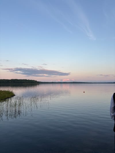 The image depicts a serene lake scene at dusk, likely in Shuiskaya Chupa, Russia, given the provided context. The sky transitions from a pale blue at the top to soft hues of pink and orange near the horizon, with wispy clouds scattered across it. A dense line of dark green trees forms the shoreline in the distance, meeting the calm, reflective surface of the lake. The water exhibits gentle ripples, mirroring the sky and the trees. In the foreground, tall, dry reeds emerge from the water on the left side, their reflections stretching onto the lake's surface. A solitary orange buoy is visible in the mid-distance on the lake. On the far right edge of the frame, a person is partially visible, viewed from the back, wearing a white shirt and dark attire, standing at the water's edge. The overall atmosphere is tranquil and peaceful, characteristic of a late evening by a body of water.