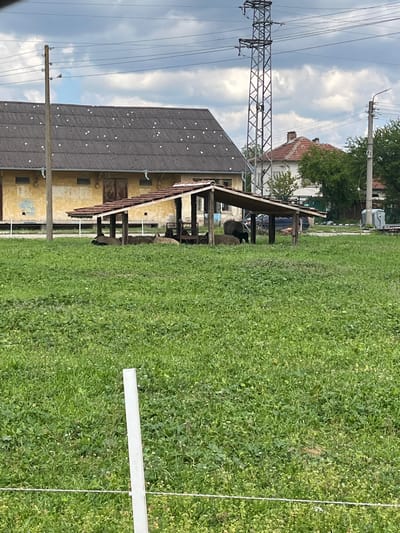 The image depicts a grassy area in Letnitsa, Bulgaria, adjacent to a long, one-story building with a dark, gabled roof, likely an agricultural or industrial structure. The building's facade is yellowish and shows signs of age or weathering. A covered area or lean-to structure extends from the side of the building. A power line tower is visible near the building, with overhead power lines extending into the sky. The sky is partly cloudy. A second building with a red tile roof is visible in the background. A white post or stake and a white line are also present in the grass.