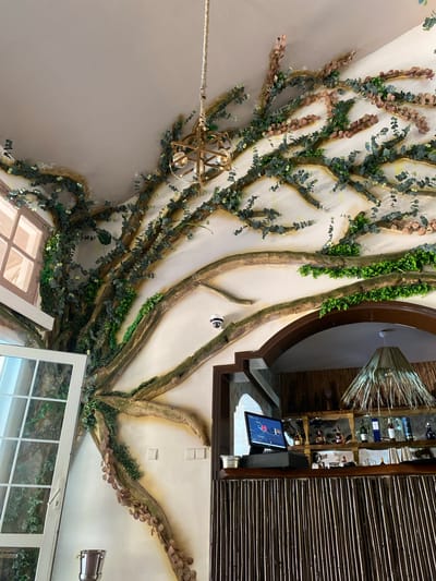 This image captures a close-up, angled view of a ceiling decorated with an elaborate tree-like structure made of artificial branches, foliage, and vines. The design appears to mimic the organic growth of a tree spreading across the ceiling. Interspersed with the greenery are sections of faux bark, giving a realistic texture to the branches.

Hanging from the ceiling, on the left side of the image, is a modern, multi-bulb light fixture with a golden metallic finish, adding a touch of contemporary style to the naturalistic design.

Further into the scene, on the right, part of a bar or counter area is visible. Shelving units stocked with bottles suggest a hospitality setting, possibly a restaurant or bar. A digital screen is mounted on the counter, displaying what appears to be a menu or point-of-sale interface. The background hints at a rustic or tropical ambiance, with bamboo-like slatted panels and natural materials used in the construction. A security camera is also mounted on the ceiling amidst the decorative branches.

The lighting in the scene suggests it is daytime, likely indoors, with artificial lighting from the fixture and potentially from the environment beyond the frame. The overall impression is one of a creatively designed interior space, where natural elements are integrated into the architecture to create a unique atmosphere. The focus is on the intricate ceiling art and the surrounding decor that complements it. No people are visible in the frame.