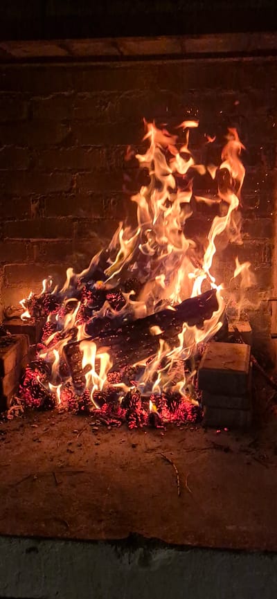 A vertical, medium shot captures a roaring fire in a brick fireplace. The flames, a vibrant mix of orange, yellow, and white, dance upwards, illuminating the rough-textured, dark red brick wall behind them. The fireplace floor is covered with glowing red embers and burning pinecones, with several pieces of firewood scattered amongst them. To the right of the fire, two bricks are stacked, serving as a makeshift support. The bottom of the frame shows a dark, concrete ledge. The scene suggests a cozy, perhaps rustic, setting within a home or outdoor space in Molovata Nouă, Moldova.