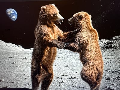 The image depicts a fantastical scene featuring two brown bears on a celestial body, likely the Moon, with Earth visible in the background. The two bears stand upright on their hind legs, facing each other in what appears to be an interaction, possibly playful or an embrace. Their mouths are slightly open, and their paws are engaged, suggesting movement or communication.
The setting is characterized by a barren, cratered, and rocky grey surface underfoot, consistent with lunar terrain. The sky is a deep black, illuminated by numerous small white stars. In the upper left quadrant of the frame, a vibrant, partially illuminated Earth hangs in the dark expanse, showcasing its blue oceans and white clouds.
Notable details include the realistic texture of the bears' brown fur. The image is a composite, blending realistic animal figures with an extraterrestrial landscape. There is no visible text. The overall atmosphere is surreal and imaginative.