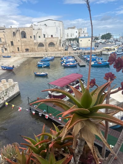 This photograph captures a vibrant harbor scene in Monopoli, Italy, under a clear daytime sky. The image is taken from an elevated perspective, looking down and across the water towards the town.

In the immediate foreground, a succulent plant, likely an Aloe vera, with green and reddish-brown spiky leaves, dominates the lower right corner. A long, slender stalk extends upwards from this plant, and several small red or maroon flowers or rosettes are also visible, hinting at other succulents nearby.

The midground features a tranquil body of water, possibly a natural harbor or inlet, teeming with boats. Numerous small, blue fishing or tour boats are moored or docked along the stone quays and sandy shoreline on the left. On the right, a larger boat or floating platform with a distinctive reddish-maroon canopy stands out. Below it, a string of colorful maritime flags (red, white, yellow, blue) adds a decorative touch. Further into the harbor, larger white boats and yachts are visible, suggesting a mix of fishing and recreational activity.

The background showcases the charming architecture of the coastal town. Buildings of varying styles line the waterfront, ranging from older stone structures with arched windows to more modern, white-plastered buildings. A paved road or walkway runs along the edge of the harbor, with a few parked vehicles discernible. The sky above is bright blue with scattered white clouds, indicating fair weather.

The scene conveys a peaceful and picturesque atmosphere, typical of a Mediterranean coastal town. No specific activities or events are actively taking place beyond the general presence of boats in a harbor. There is no visible text.