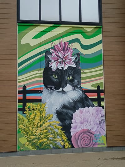 This is a full shot of a mural painted on the exterior wall of a building in Lexington, Kentucky. The mural features a black and white cat wearing a pink flower crown and a large pink flower and a rose at its side. The background of the mural is a series of green and blue wavy stripes. To the left of the cat is a yellow bush, and behind the cat is a black fence. The building has a wooden exterior with a large window above the mural. The mural is signed "OUT THERE MURALS" and "ART BY LANENEWNAM".