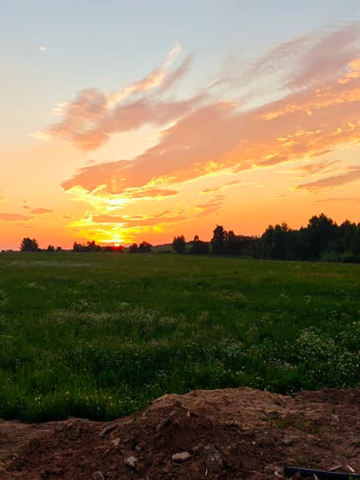 A vertical, low-angle shot captures a vast field with a forest line in the distance during sunset. The sky is filled with vibrant orange and yellow hues, with streaks of pink and white clouds scattered across. The sun, a bright orb, is partially obscured by clouds as it dips towards the horizon, casting a warm glow over the landscape. In the foreground, a patch of rich, dark soil is visible with scattered debris, contrasting with the lush green field dotted with small white wildflowers. The field extends to the tree line, which forms a dark silhouette against the illuminated sky. The overall scene evokes a sense of natural beauty and tranquility at dusk. The image was taken in or near the city of Kurumoch, Russia.