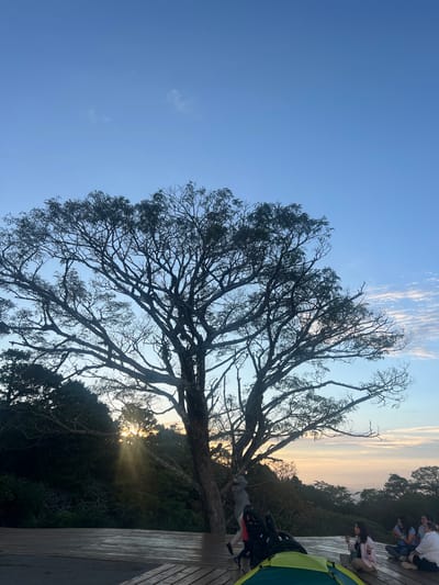 The image captures a serene scene at El Cacao, El Salvador, likely during sunset or sunrise due to the soft, warm light filtering through the trees. The primary subject is a large, bare-branched tree silhouetted against a clear blue sky with wispy clouds. The tree's intricate network of branches dominates the frame, creating a dramatic contrast with the sky.

In the background, a group of people are visible on a wooden deck, observing the view. One person is partially visible near a green and yellow tent in the foreground, suggesting a camping or glamping setup. The wooden deck, with its weathered planks, extends into the scene, providing a platform for viewing the landscape. Beyond the deck and the tree, a dense forest covers the hillside, fading into a hazy horizon where the sky meets the distant landscape.

Sunlight beams are visible breaking through the branches of the tree and illuminating a section of the forest, creating a mystical and peaceful atmosphere. The overall mood is tranquil and contemplative, with the natural beauty of the landscape and the subtle presence of human activity creating a harmonious blend. The time of day is suggested to be either dawn or dusk by the quality of light and the colors in the sky, while the vegetation indicates a tropical or subtropical setting. There is no visible text in the image.