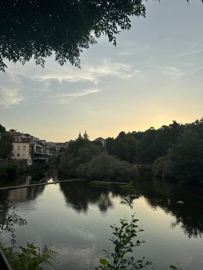 The image shows the Tâmega River flowing through the city of Amarante, Portugal. On the left bank, there is a row of buildings with traditional Portuguese architecture, featuring white facades and tiled roofs. A pedestrian bridge is visible in the distance. The right bank is densely covered with trees. Several swan-shaped pedal boats are present on the water. The sky is partly cloudy with a soft, warm glow from the setting sun. The river's surface reflects the surrounding landscape and the sky. The foreground shows foliage, including ferns and leafy branches.