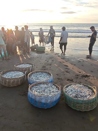 At Uleekareung beach in Aceh, Indonesia, a group of fishermen and women are seen on the shore during what appears to be a fishing expedition at sunset. The sun is low in the sky, casting a warm glow and long shadows across the wet sand. Several large woven baskets, brimming with freshly caught fish, are prominently displayed in the foreground. The fish are small and silver, densely packed within the baskets. In the background, the ocean waves gently roll onto the beach, and a few people are visible interacting near the water's edge, some carrying fishing nets. One individual is looking at their phone. The overall scene depicts the conclusion of a successful fishing trip.