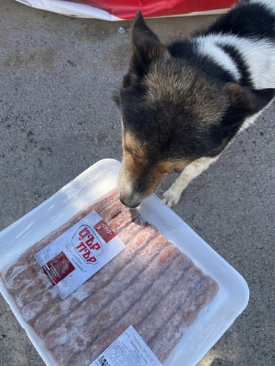 A dog is sniffing a package of raw meat on a paved surface. The package is white plastic and contains several rows of meat products. A red and white label is adhered to the top of the package, displaying text in a foreign language and a graphic. The dog has black, white, and brown fur. In the background, a portion of a red and white object is visible, possibly a tarp or banner. The ground appears to be concrete or asphalt. The scene is outdoors.