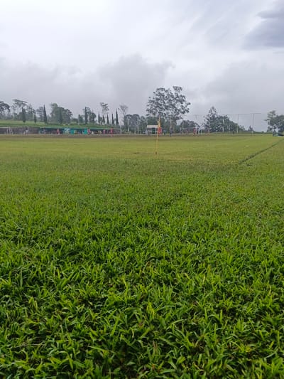 A green soccer field fills the frame, with lush, dense grass in the foreground. In the midground, a yellow corner flag stands upright. Several individuals wearing red jerseys are playing soccer on the field. Beyond the field, a spectator stand and trees under an overcast sky. The weather appears cloudy.