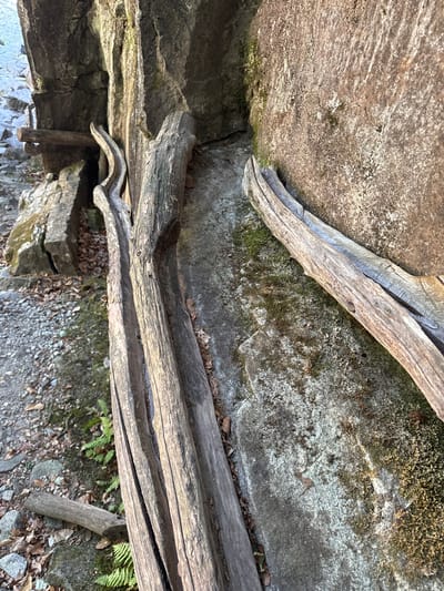 The image shows a close-up view of two weathered, split logs resting against a large, rough-textured rock formation. The logs appear to be old and have a natural, curved shape. The rock face has patches of moss and lichen. The ground in the foreground and to the left is covered with gravel, fallen leaves, and small rocks. A few green fern fronds are visible peeking out from under the leaves and near the base of the logs. The scene is outdoors, likely in a natural setting, suggesting it could be a trail or a natural feature within a park. The environment appears to be a rocky, somewhat overgrown area. There are no people or animals visible in the image.