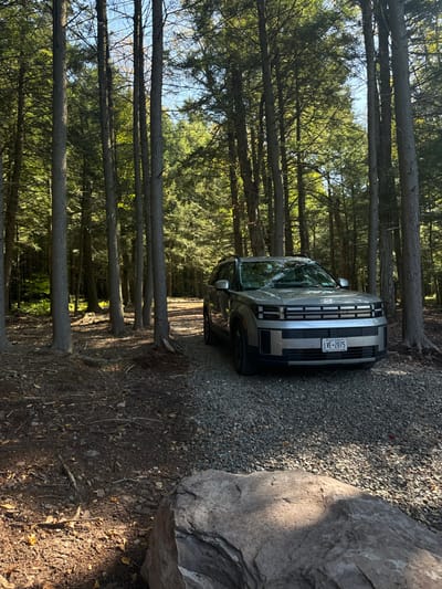 A light grey Hyundai Ioniq 5 electric vehicle, displaying a New York license plate "LVE-2075" on its front, is parked stationary on a gravel path. The vehicle is positioned facing the viewer, slightly right of center, within a dense forest environment in Otego, United States. Tall, slender coniferous trees with dark green foliage surround the gravel path, forming a thick backdrop and extending to the sides. Sunlight filters through the tree canopy, casting dappled shadows on the forest floor, which consists of dark brown soil, fallen leaves, and exposed roots to the left of the path. In the immediate foreground, a large, grey, irregularly shaped boulder rests on the dark soil. No individuals are visible. The sky is bright blue, partially visible through the treetops.