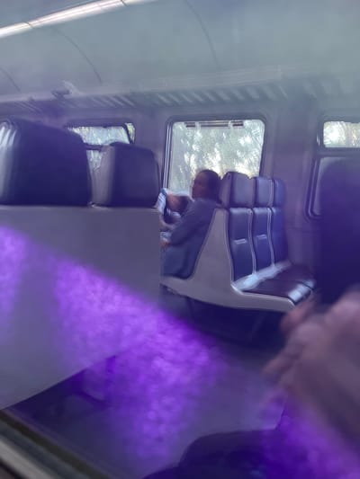 The image depicts the interior of a train car, with a focus on seating and a person. A woman is seated, looking towards the window. The seats are upholstered in a combination of dark blue and white material. Outside the window, trees and foliage are visible, suggesting a journey through a natural landscape. The lighting suggests it is daytime. The image also shows a reflection of purple light across the foreground, possibly from an electronic device or ambient lighting. The location of Hlevakha, Ukraine is not visually identifiable within the image itself.