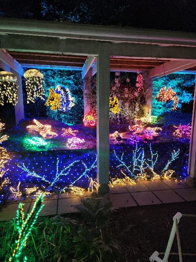 An outdoor display features strings of colorful lights arranged in shapes resembling jellyfish, stars, and branches. The lights are primarily blue, yellow, and pink. The display is under a square, open-roofed structure. Some green foliage is seen outside the display, with dark background surrounding the scene.