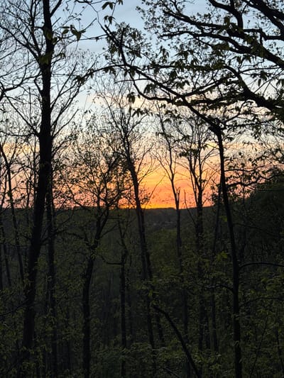 The image presents a serene natural landscape captured at either sunrise or sunset in Bures-sur-Yvette, France. The sky dominates the central and upper portions of the scene, displaying a striking gradient of colors. On the right, a vibrant orange and yellow glow, indicative of the sun's position, illuminates the horizon. This warm light gradually softens into a paler, lighter blue-grey towards the left side of the sky.
In the foreground, the intricate network of dark tree branches is silhouetted against the bright sky. Some of these branches are bare, while others bear sparse, light green leaves, suggesting the season is early spring. Below the brightly lit horizon, a dark, undulating silhouette of a distant hill or a dense forest creates a clear boundary against the sky. The lower right section of the image is filled with a thick, shadowy forest canopy, where individual trees are indistinguishable but their collective mass is evident.
The overall impression is one of tranquil natural beauty, with clear weather allowing for the full spectacle of the sky's colors at dawn or dusk. There is no visible text in the image.