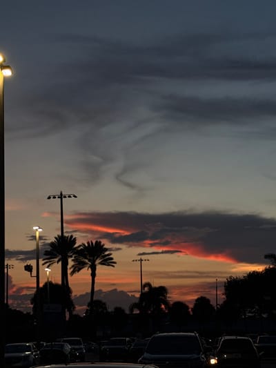 The image captures an outdoor scene at dusk or dawn in Boca Raton, United States, depicting a large parking area. The sky features a gradient from dark grey and blue overhead to vibrant orange, red, and yellow at the horizon, with distinct dark grey cloud bands and wispy, lighter grey clouds. Multiple artificial light sources are active, including a bright, multi-lamp street pole on the far left, and several tall, multi-head light poles silhouetted against the sky. Prominent silhouetted palm trees and other dark foliage form a tree line in the midground. The foreground and midground are densely occupied by numerous dark, indistinct passenger vehicles, consistent with a parking lot. Some vehicles display illuminated headlights or taillights. No human figures are discernible within the frame.