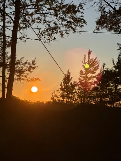 This image depicts a sunset in Meremõisa, Estonia, with silhouettes of trees against a vibrant orange sky. The sun, a bright orb, is visible on the left, casting a warm glow. A thin wire stretches diagonally across the upper portion of the image, supported by insulators attached to trees. A distinct circular lens flare, emitting a green light, is present near the top of a pine tree on the right side. The foreground is dominated by the dark silhouettes of foliage and trees, obscuring any discernible details of people or specific objects on the ground. The overall scene conveys a natural, outdoor setting during twilight.