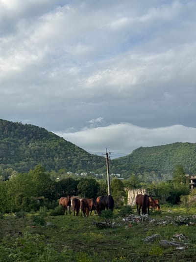 The image depicts a mountainous landscape with a herd of brown horses grazing on a grassy slope. The sky is filled with predominantly gray clouds. A utility pole stands in the middle ground. The location is likely in or near Abzhanda, Abkhazia, based on the request. The hillside has scattered vegetation, suggesting a rural or semi-rural environment. No people are visible. The horses are the main subjects engaging in the action of grazing. There is a slight haze or fog visible within the mountainous regions.