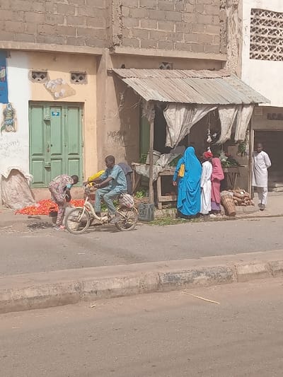 The scene depicts a street market activity in Dogon Nama, Nigeria, viewed from across a two-lane asphalt road with a raised concrete curb. On the dirt-paved area fronting the buildings, seven individuals are present. To the far left, a person in patterned clothing crouches next to a large pile of red produce, presumably tomatoes, laid directly on the ground. A male cyclist, wearing a light-colored long-sleeved shirt and trousers, rides a cream-colored bicycle from left to right in the mid-ground. Behind the cyclist, a market stall with a corrugated metal roof supported by wooden posts and draped with white fabric is set up. This stall displays various green leafy vegetables and other produce. Three individuals, including an adult female in a vibrant blue full veil carrying a yellow bag, and two smaller individuals in white and pink garments respectively, stand facing the stall, appearing to examine the goods. To the far right of the stall, an adult male in a white traditional garment stands observing the scene. The background consists of multi-story buildings constructed with unpainted concrete blocks on the upper levels and painted stucco on the lower levels, featuring a green double door, ventilation blocks, and some faded markings or graffiti. Piles of brown root vegetables are visible near the right side of the market stall.