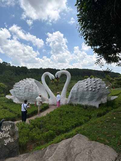 This image captures a scenic view of a park in Da Lat, Vietnam, featuring a large sculpture of two white swans with their necks forming a heart shape. The swans are positioned in a garden filled with lush green bushes. Two people are visible standing near the swan sculpture: a man in a light-colored shirt and shorts, and a woman in a white top and pink pants. To the left of the swans, a man in a white t-shirt and dark pants is taking a photo with his phone. In the foreground, a stone with Vietnamese writing is placed to the left of a pathway. The background reveals a dense forest of pine trees covering a hillside, under a bright blue sky with scattered white clouds. A tree with dark green leaves is prominent in the upper right corner of the frame. The overall scene depicts a serene and picturesque tourist attraction.
