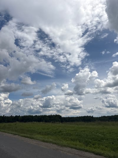 The image depicts a rural landscape in the vicinity of Leshkovo, Russia. In the foreground, a grey asphalt road curves along the bottom left of the frame, bordering a vibrant green field. The field is densely populated with grass and scattered wildflowers, transitioning into a dark, dense forest that forms the horizon line across the mid-section of the image. Above the forest, a dramatic sky is filled with a dynamic arrangement of white and grey clouds against a bright blue sky, suggesting a partly cloudy day. There are no people or animals visible in the scene. The overall impression is one of a serene, natural environment on the outskirts of a settlement.