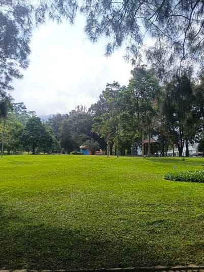 The image displays a large, meticulously maintained grassy field in the city of Masaiti, Zambia, under a partly cloudy sky. Dark tree foliage partially frames the top and left of the frame. The foreground consists primarily of bright green, short-cropped grass. In the mid-ground, a dense line of various trees separates the field from structures beyond. Among these trees, a small building with a blue and orange/brown roof is visible towards the left-center. To the right of this, a gazebo with a brown tiled roof is discernible. Further to the right and deeper into the scene, white multi-story buildings and a paved area with a vehicle are visible through and above the trees. Distant mountains or hills are faintly visible on the horizon beneath the clouds. A small, circular patch of darker green, bush-like vegetation is present in the lower right corner of the grassy expanse. No individuals or specific actions are identifiable within the scene.