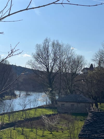 The image presents a landscape scene within Dračevice, Bosnia and Herzegovina, under a clear, light blue sky. In the immediate foreground, thorny, leafless tree branches partially obstruct the upper left and right, and lower left portions of the frame. A portion of a dark, shingled rooftop is visible in the lower right foreground.
A body of blue water, consistent with a river, occupies the left-midground, containing several small, partially submerged landmasses or islands with bare trees. To the right of the water, a vibrant green grassy slope rises gently. This slope is dotted with numerous small, leafless deciduous trees, some exhibiting white blossoms.
On the grassy slope, a one-story, rectangular stone building with a dark, sloped shingle roof is visible, featuring at least two rectangular windows on its exposed facade. Behind this structure and along the river's edge, multiple large, tall deciduous trees, currently without leaves, are present; some tree trunks display visible moss or lichen.
In the background, a range of hills or mountains densely covered with bare trees forms the horizon to the left. To the far right, above the treeline, a dark, pointed spire or steeple of a building is discernible. No human figures are present in the scene.