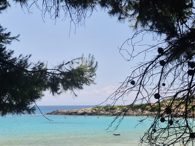 The image depicts a scenic view of the coast in Leporano, Italy, framed by the branches of a pine tree. The foreground is dominated by the dark silhouettes of pine branches and pinecones against a clear, pale blue sky. Through the branches, a turquoise sea stretches towards a rocky coastline covered with green vegetation. Several people are visible in the water, some on paddleboards and others swimming. A dark inflatable object is floating on the water in the mid-ground. The overall impression is one of a tranquil summer day at the seaside.