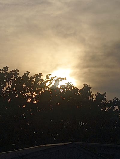 The image shows a silhouette of trees against a bright, cloudy sky. The sun is partially obscured by the clouds and the foliage, creating a bright glow. The foreground shows the top of a dark, flat structure, possibly a roof, with a textured surface. There are no people or animals visible in the image. The overall impression is that of a natural scene observed from a slightly elevated perspective. The location is identified as Černý Dub, Czechia, but there are no specific landmarks or contextual clues within the image itself to confirm or deny this location.
