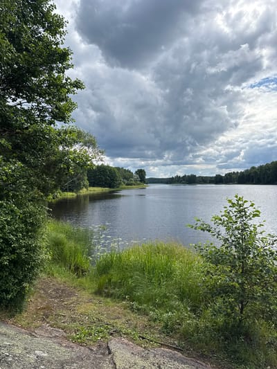 A vertical, eye-level shot depicts a serene lake scene under a dramatic, cloudy sky. The foreground features a rocky, uneven shoreline with lush green grass and vegetation. A path of dirt and exposed roots winds through the grass. On the left side, dense green foliage of a tree canopy dominates the frame, with the leaves of the tree appearing healthy and vibrant. To the right, a smaller tree with light green leaves stands amidst the tall grass. The lake stretches out into the distance, its dark, calm surface reflecting the overcast sky. Along the far shore, a dense line of dark green trees creates a natural border, with glimpses of buildings or structures nestled within the treeline. The sky is filled with a mixture of dark, heavy clouds and lighter, brighter patches, suggesting an approaching storm or recent rain. The overall impression is one of natural beauty and tranquility.