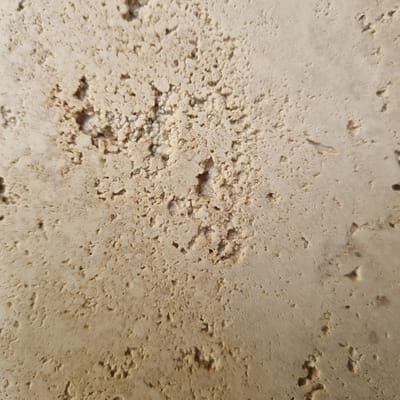 The image displays a close-up, textured view of a light brown, porous surface, possibly a wall or a natural rock formation. The texture is uneven, with numerous small pits and irregular raised areas. Some areas show signs of flaking or crumbling. The lighting suggests it might be indoors or under diffused daylight, as there are no strong shadows. The overall impression is one of age and wear. The color palette is monochromatic, consisting of various shades of beige and light brown. There is no visible text, people, or clear indication of a specific event or activity. The location context of Jerez, Spain, hints that this could be related to traditional building materials like tufa or limestone, common in Spanish architecture, or perhaps a natural geological feature in the region. However, without further context or clearer details in the image, it's difficult to pinpoint the exact nature of the subject.
