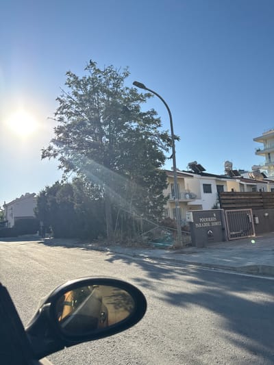 The image depicts a street scene in Germasogeia Municipality, Cyprus, bathed in bright sunlight. A large tree with sparse foliage dominates the left side of the frame, with rays of light piercing through its branches. A street lamp with a curved arm extends from behind the tree. On the right side of the road, there is a property with a sign that reads "POURIKKOS PARADISE HOMES." The building behind the sign is a multi-story residential structure with solar water heaters on the roof. Further in the background, a modern, white building with balconies is visible. The street itself is paved asphalt, with shadows cast from the trees and the street lamp. In the foreground, the side mirror of a vehicle reflects the road and what appears to be the interior of the car. A person and a dog are seen walking on the sidewalk in the middle ground. The sky is clear blue.