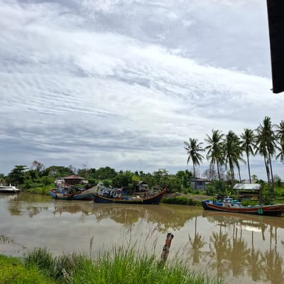 A wide, murky brown river flows through a tropical landscape under a heavily overcast, cloudy sky. On the left bank, several fishing boats are moored. The nearest to the left is a white boat with a covered cabin, possibly a ferry or a larger vessel. To its right, a blue and white fishing boat with red trim is docked, followed by another larger fishing vessel with a prominent red and black hull. Further right, a red, white, and blue fishing boat is tied up. The background on the left bank is densely populated with lush green trees and vegetation, interspersed with some simple structures, including a small wooden building with a red roof and a more modern building with a light-colored facade and dark roof. Tall palm trees are visible along the treeline, with a few more scattered further into the scene. On the right side of the frame, a row of tall palm trees dominates the background, their fronds swaying gently. A small, open-sided shelter with a metal roof is visible amongst the trees. The water reflects the cloudy sky and the surrounding trees and boats, creating a blurred, impressionistic effect. The foreground is lined with tall, green grasses and some dried grass stalks. A weathered wooden post, possibly a mooring post, stands in the river towards the right side of the foreground. The overall impression is one of a peaceful, yet functional, waterfront scene in a rural or semi-rural area.