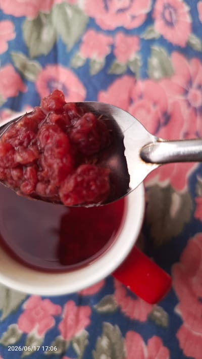 A close-up shot shows a spoon filled with dried cranberries being held over a red mug filled with a dark red liquid. The mug sits on a blue and pink floral fabric. The cranberries are shriveled and appear to be sweetened, some sticking together. The liquid in the mug is dark and opaque, suggesting it might be tea or juice. The background fabric has a vintage aesthetic with large, stylized pink roses and green leaves on a dark blue background. The lighting is soft, suggesting an indoor setting, possibly a kitchen or dining area. No people are visible. The overall impression is one of a simple, everyday moment, perhaps preparing a drink or enjoying a snack. A timestamp "2026/06/17 17:06" is visible in the bottom left corner of the image, indicating the date and time the photo was taken.