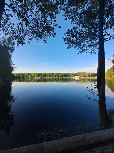 The image presents a view of a tranquil lake scene, possibly in Меткомелино, Russia. The viewpoint is partially obscured by foliage of trees on the left and top edges, while a concrete structure is visible on the right. The surface of the lake mirrors the opposite shore, reflecting the line of trees and the clear blue sky above. Utility wires span the sky in the left area of the frame. The lighting is bright, indicating it is daytime.