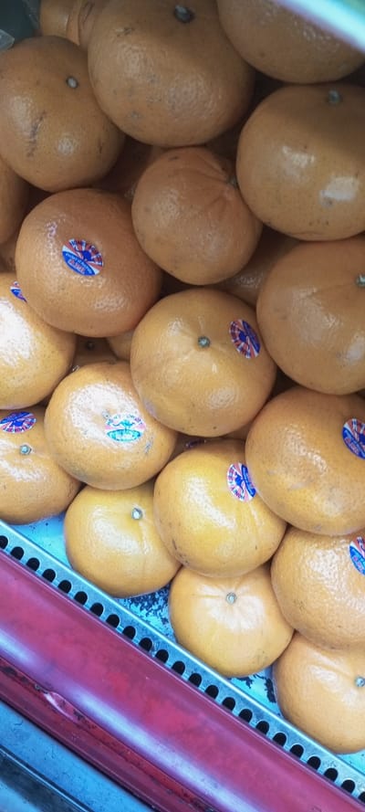 A pile of Honey Murcott oranges are tightly packed in a display. Their surfaces are mostly smooth with a slightly textured rind. Each orange has a sticker on it, showing the words "Honey Murcott" and "Product of Australia." The oranges are nestled against a metal rack with a red stripe along the bottom. The metal is perforated with small holes, adding to the texture of the scene.