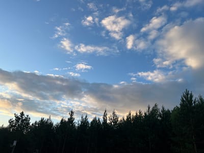 This is a horizontal, eye-level, medium shot of a silhouetted line of pine trees against a sky filled with clouds and blue sky. The trees are dark green and form a dense, uneven line across the bottom of the frame. The sky is a gradient of blues, with scattered white and gray clouds. The clouds are illuminated from above, suggesting either a sunrise or sunset. The overall mood is peaceful and serene. There is no visible text in the image. The setting appears to be a natural outdoor environment, possibly a forest edge. Given the location context of Rasocha, Russia, this could be a typical forest landscape during transitional hours of the day.